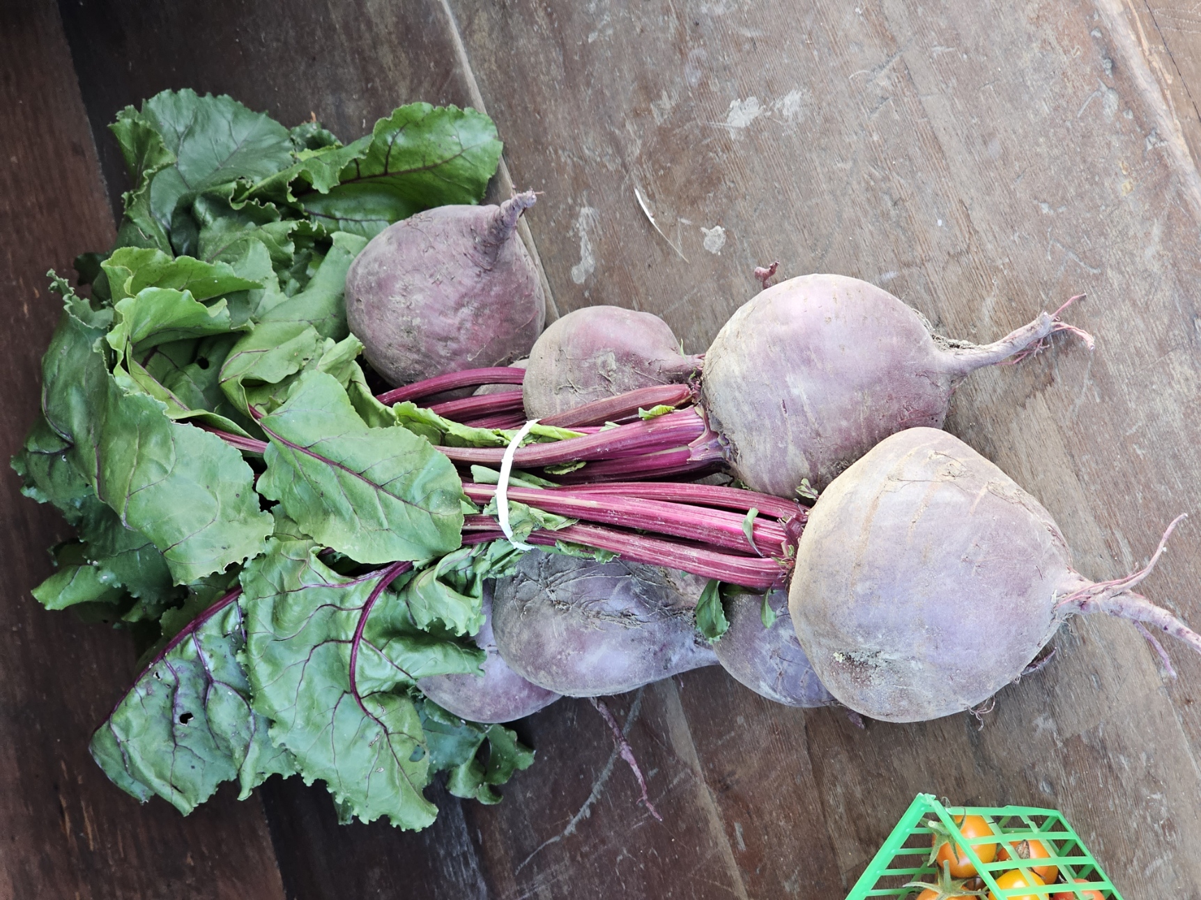 bunches of farm fresh organic beets on our farm stand